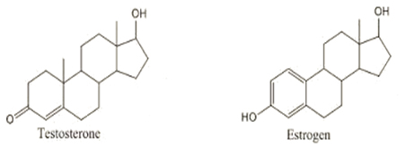 testosterone-estrogen