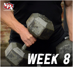 heavy-hittin-bodybuilding_week-8
