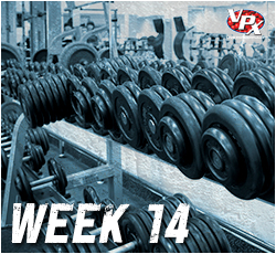 heavy-hittin-bodybuilding_week-14
