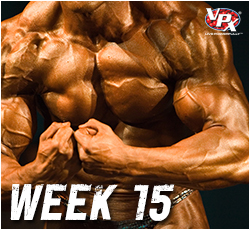heavy-hittin-bodybuilding_week-15